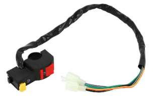 Coin Universal Starte Pacha